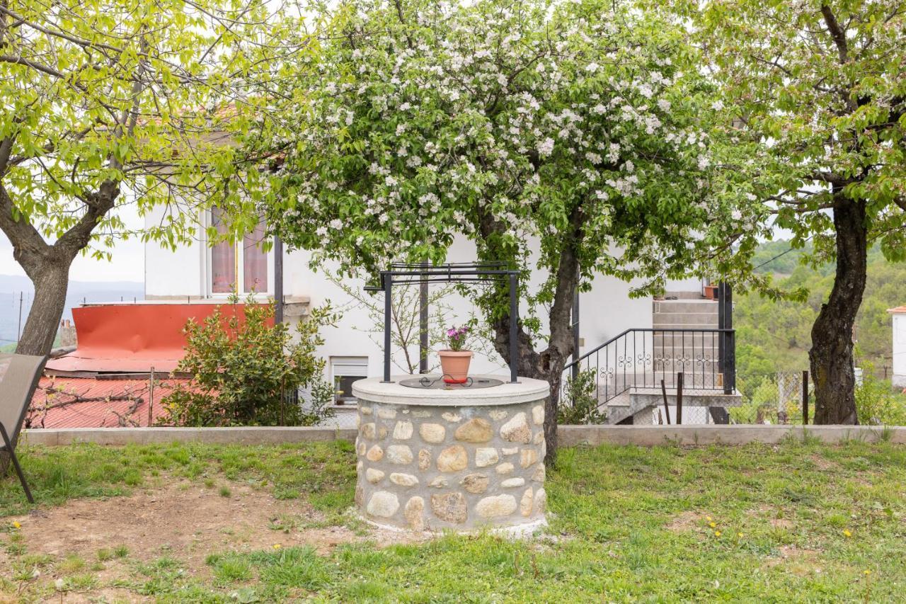 Archontiko Fotini - Traditional Guesthouse Meteora Kalambaka Zewnętrze zdjęcie